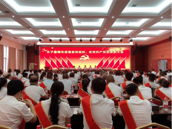 太子庙镇：召开先进基层党组织、优秀共产党员表彰大会