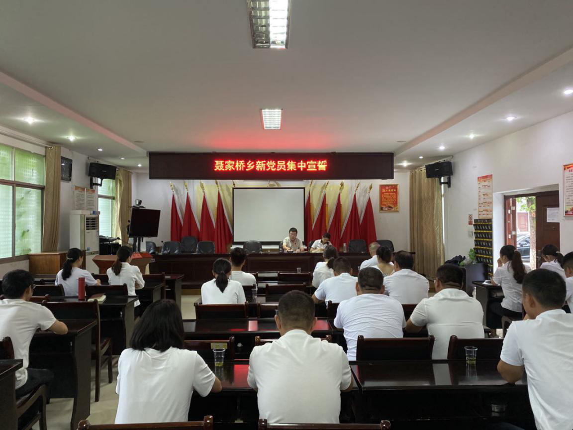 聂家桥乡：开展新党员集中宣誓活动