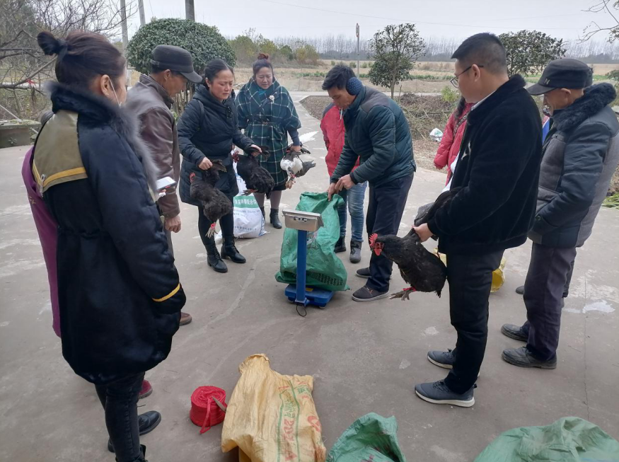 汉寿义工联回购农产品助力脱贫