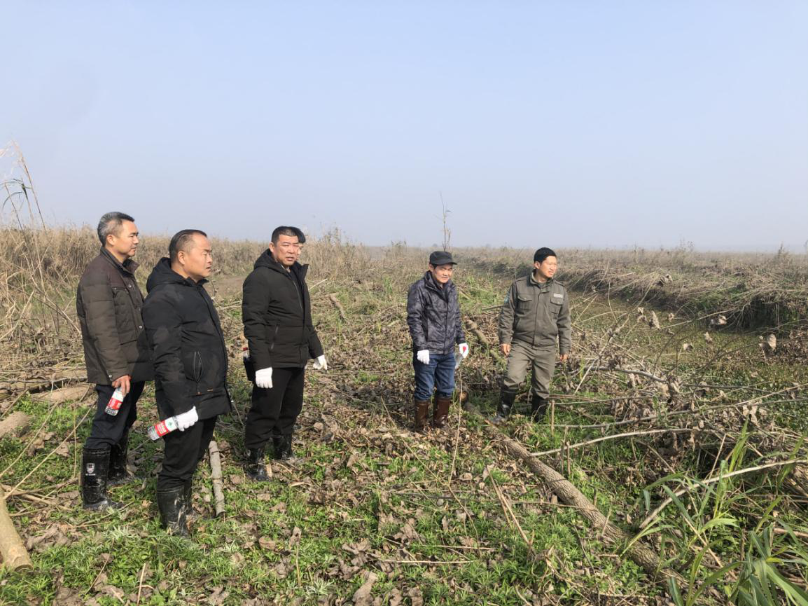汉寿：加快生态建设   筑牢生态屏障