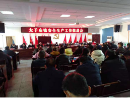 太子庙镇召开周前会