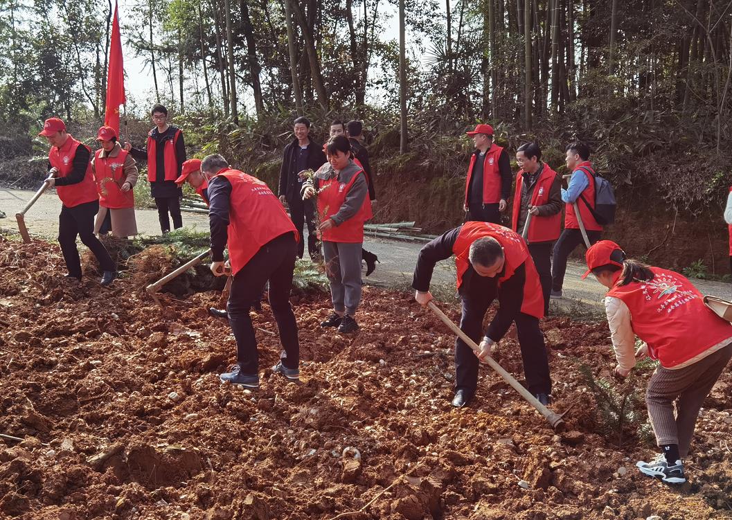 汉寿县民政局：植树造林  绿化祖国