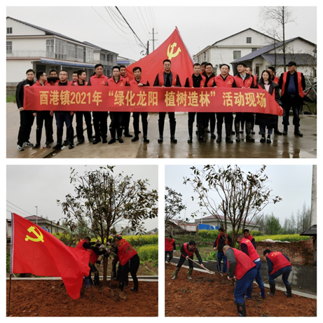 酉港镇：春季植树造林忙  美丽乡村添新装