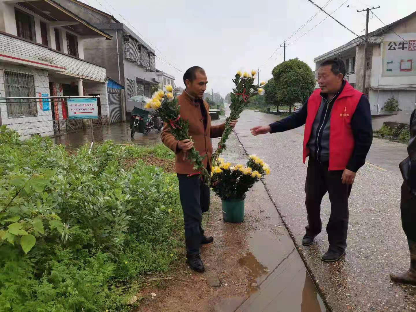 朱家铺镇：鲜花成主流  文明祭祀常态化