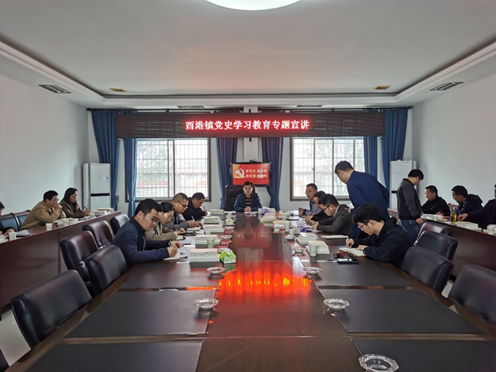 酉港镇召开党史学习教育专题宣讲报告会