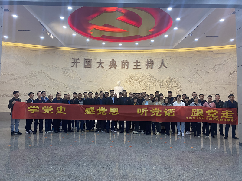 龙阳街道：开展“学党史、感党恩、听党话、跟党走”传承红色基因现场教学活动