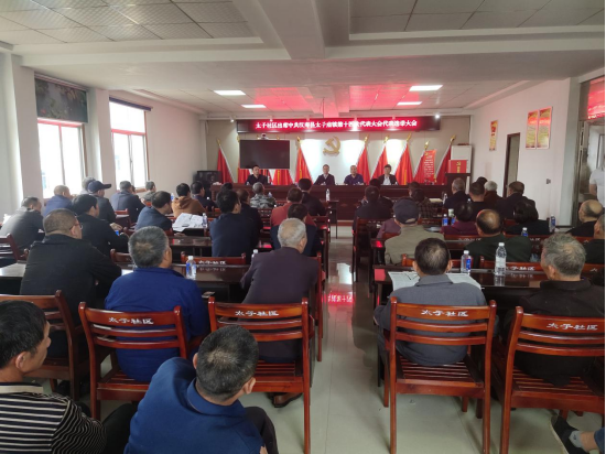 太子庙镇召开中共汉寿县太子庙镇第十四次代表大会代表选举大会