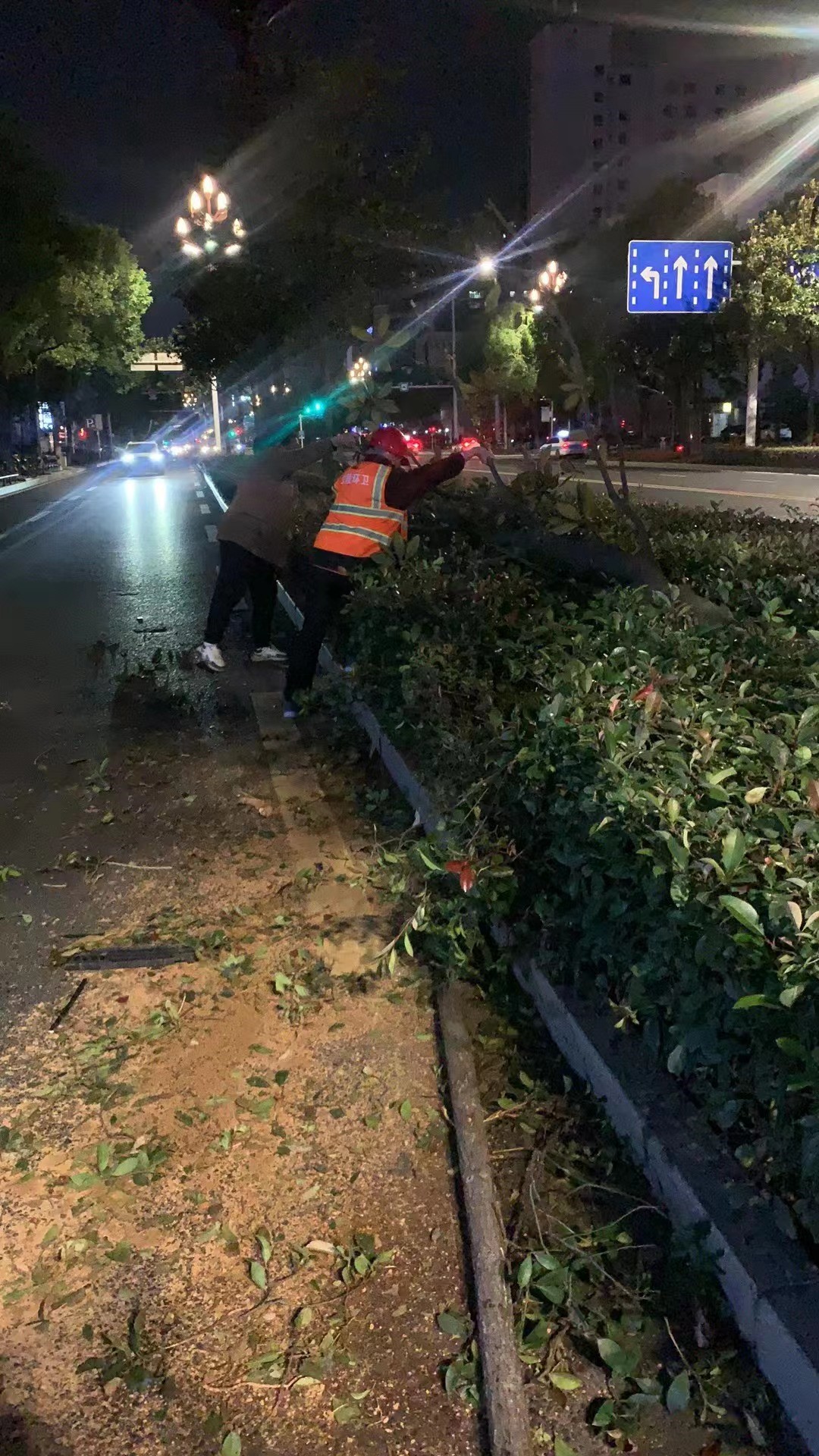 交通事故损坏绿化带 武陵环卫快速清洁保畅通