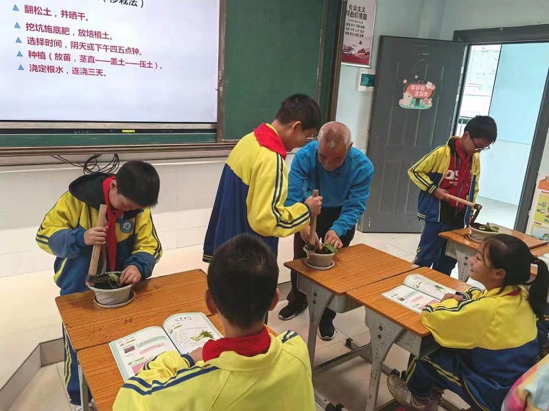 石鼓区金源小学开展“阳光农场”种植活动