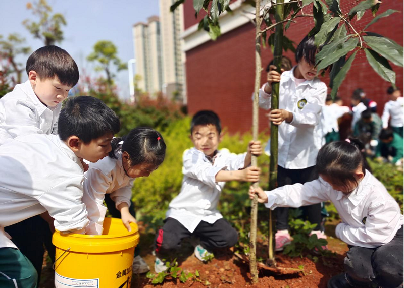 石鼓区江霞小学：最是一年春好处  “植”此青绿向未来