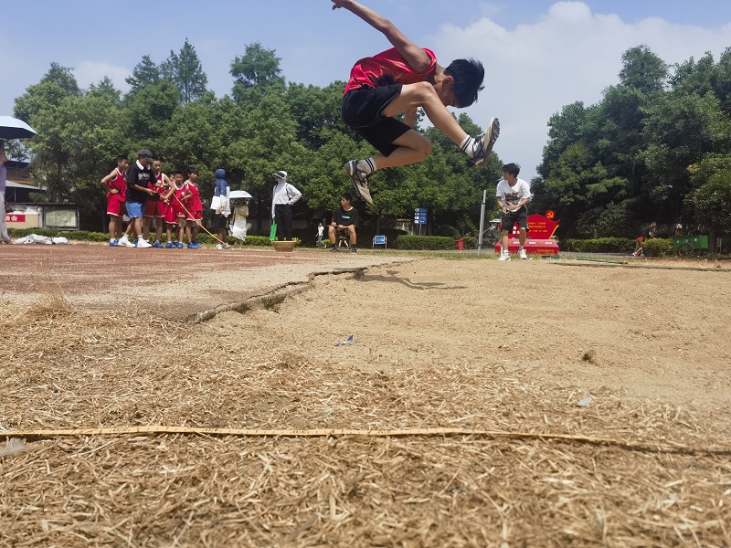 石鼓区中小学夏季田径运动会完美落幕
