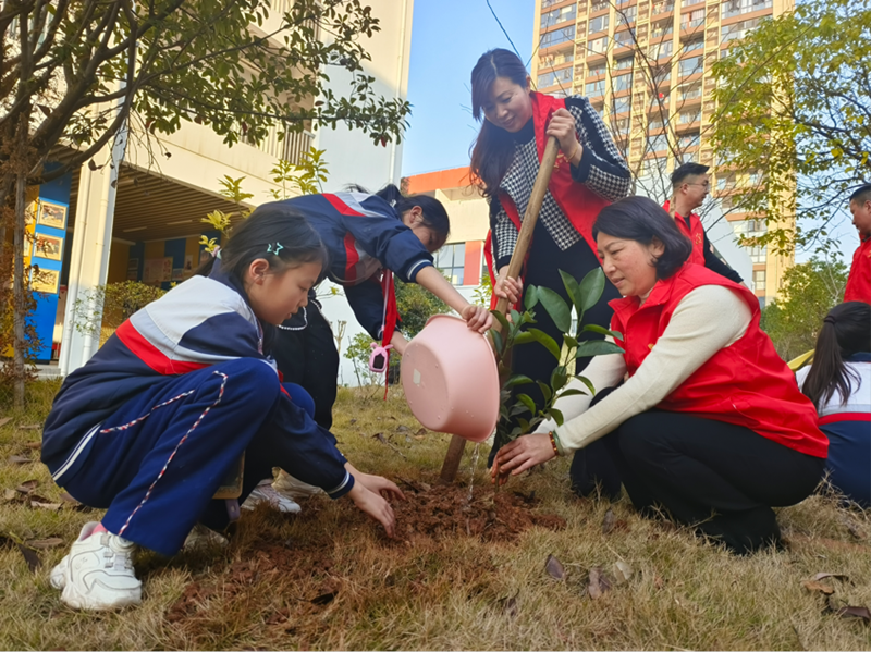 华耀小学：党建引领“红+绿”，志愿添绿植树忙