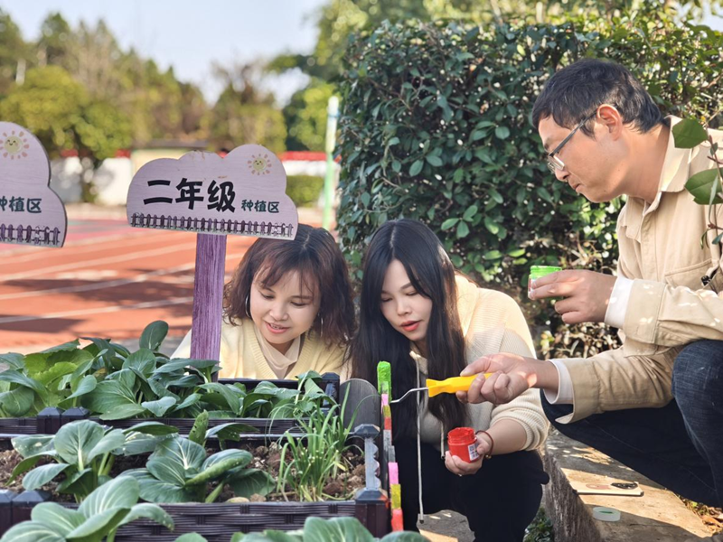 画笔绘“心”，云旭山联校教师心理团辅活动为菜园添“彩”
