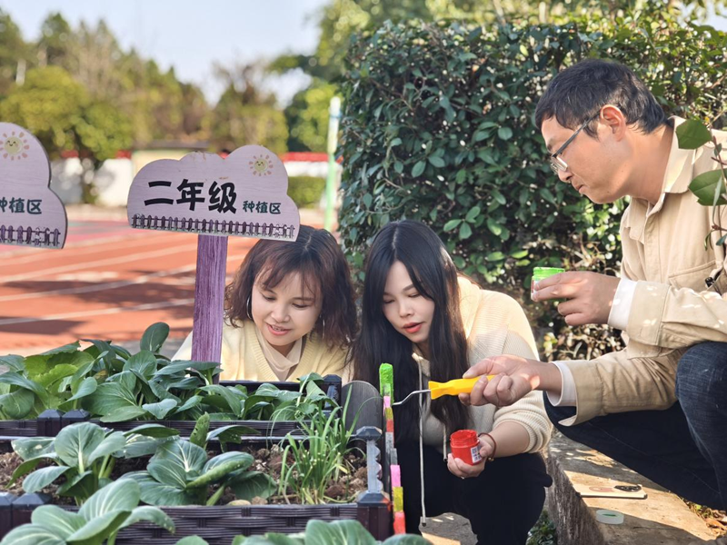 畫筆繪“心”，云旭山聯(lián)校教師心理團(tuán)輔活動為菜園添“彩”