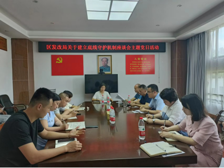 区发改局开展建立底线守护机制座谈会主题党日活动