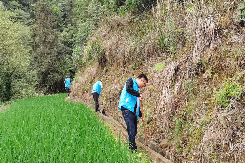 古丈县水利局：清淤扫障 打通灌溉用水“肠梗阻”