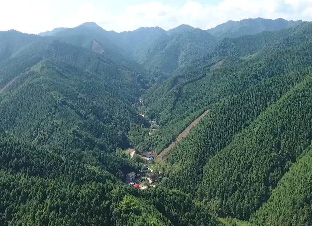 （人民至上-走向我们的小康生活）祁阳融媒体中心：扶贫先扶智 助力寒门学子圆梦