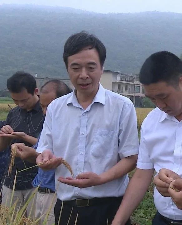 湖南农大专家团“把脉问诊”生态农业