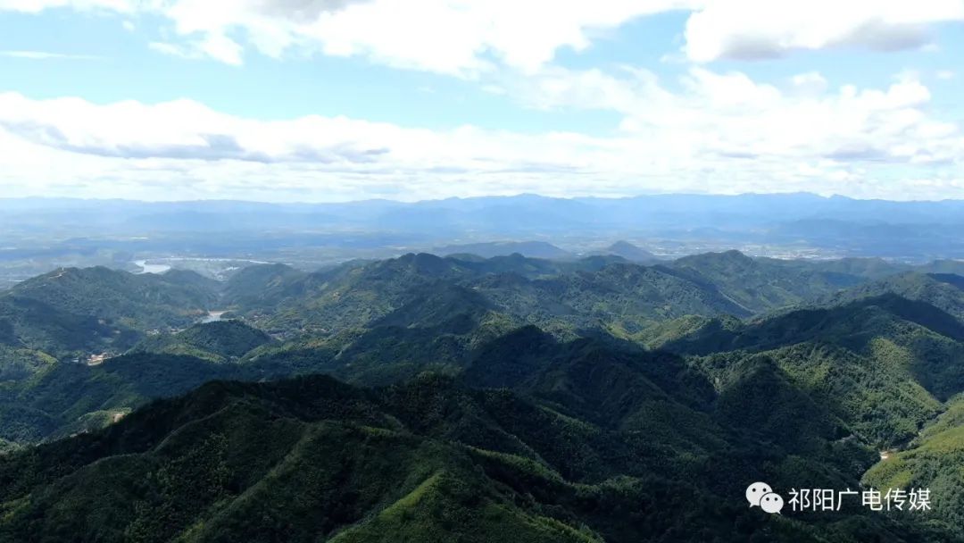 大山里的“鸽掌柜”