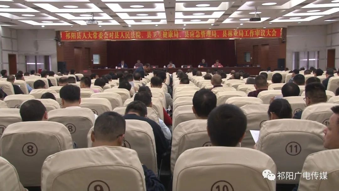 县人大常委会召开对县人民法院、县卫生健康局、县应急管理局、县林业局工作审议大会
