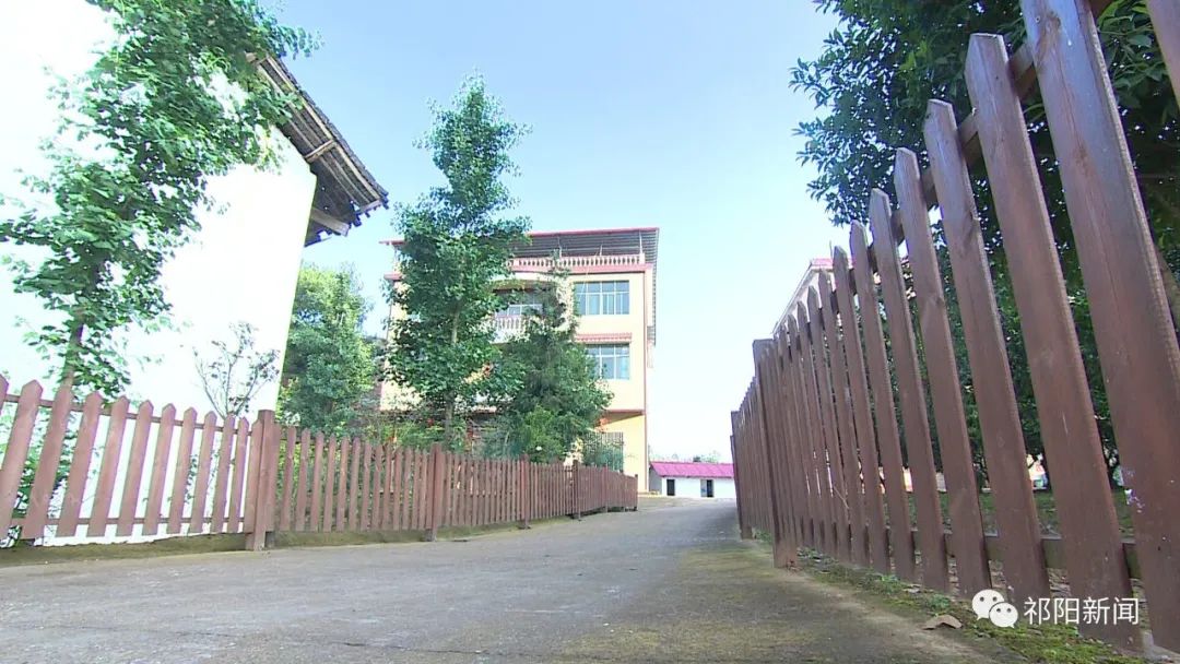 【春色满园】让绿色成为乡村的最美“底色”