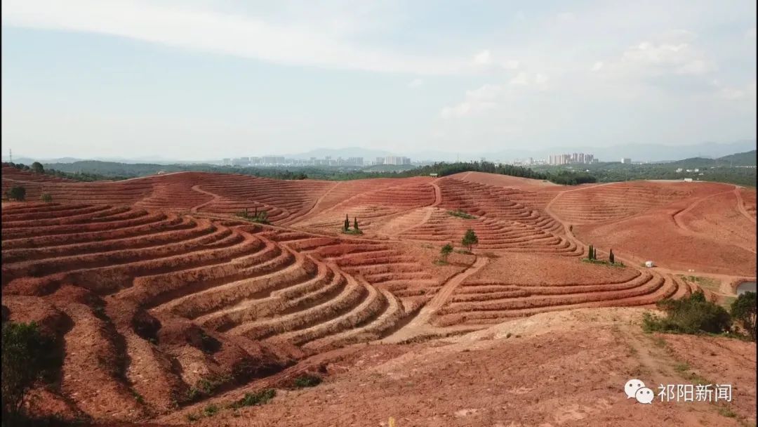 祁阳：林下经济让土地“生金”