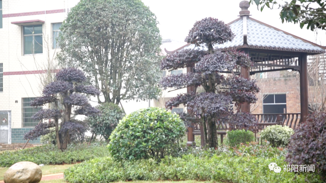 祁阳：以“绿化”先行 助力乡村振兴