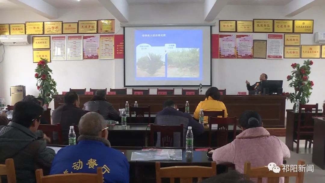 我县开展柑橘黄龙病防控技术培训