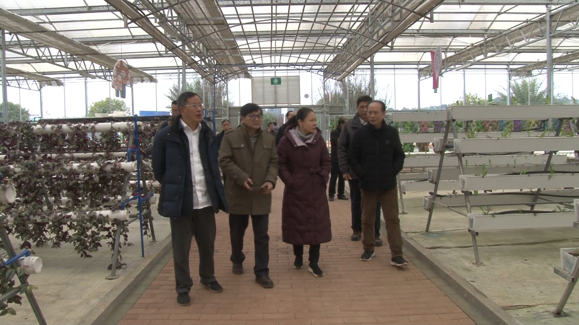 省老科协一行来祁考察调研