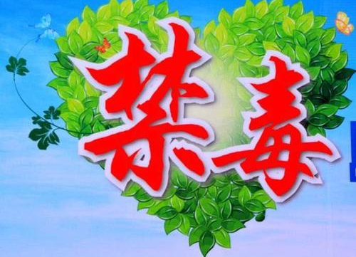 龙山街道：积极开展吸毒人员“平安关爱”行动