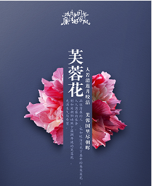 廉洁好家风（都市频道）