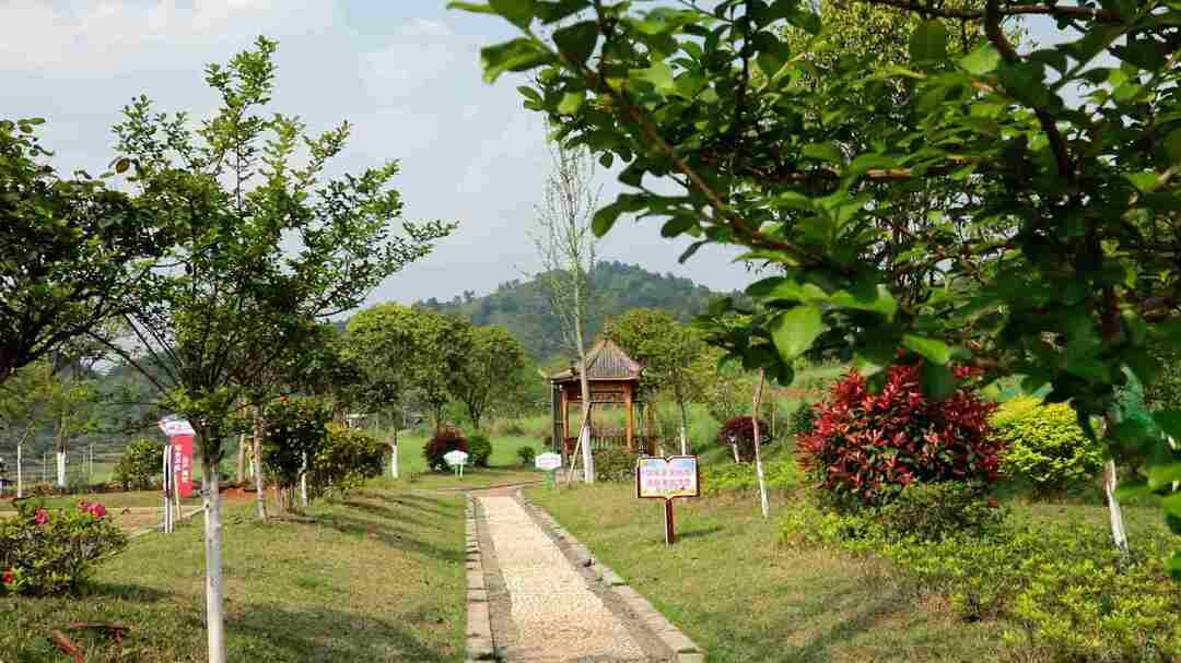 七里桥镇乌山冲村：美环境 兴旅游 振兴乡村