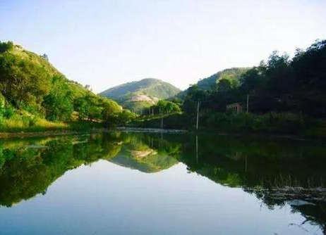 守护绿水青山 奏响生态强音