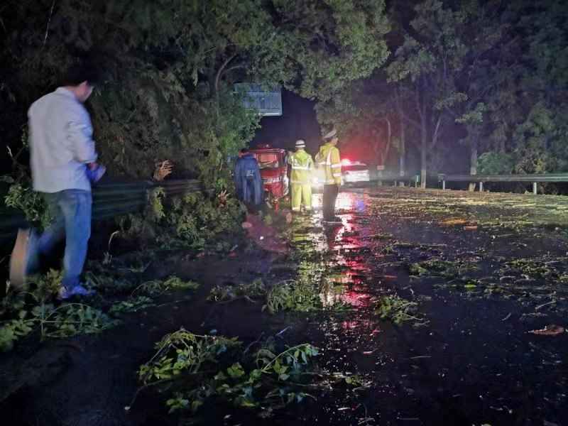 风吹大树拦路 交警消除隐患