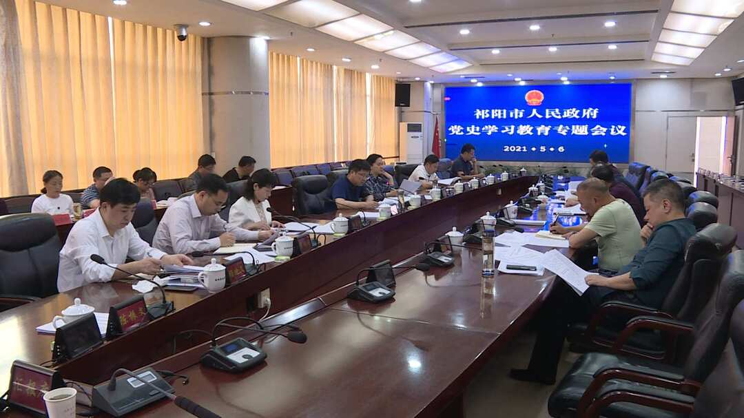 祁阳市政府党组召开党史学习教育专题学习会