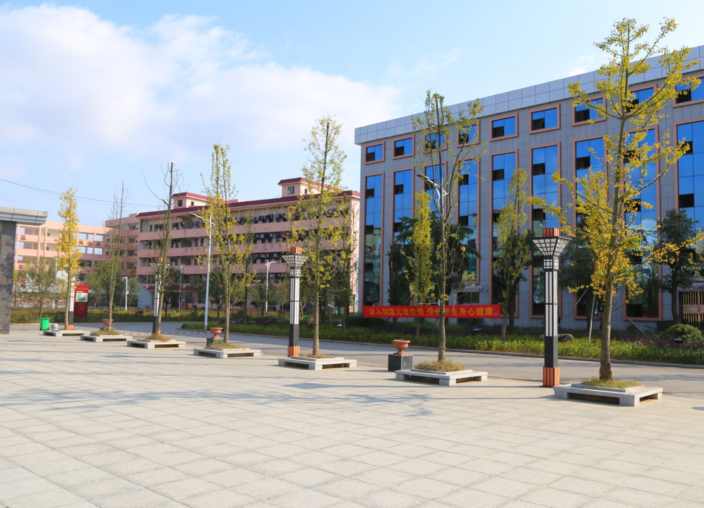 五、特色项目（园校对接的技术技能服务中心）