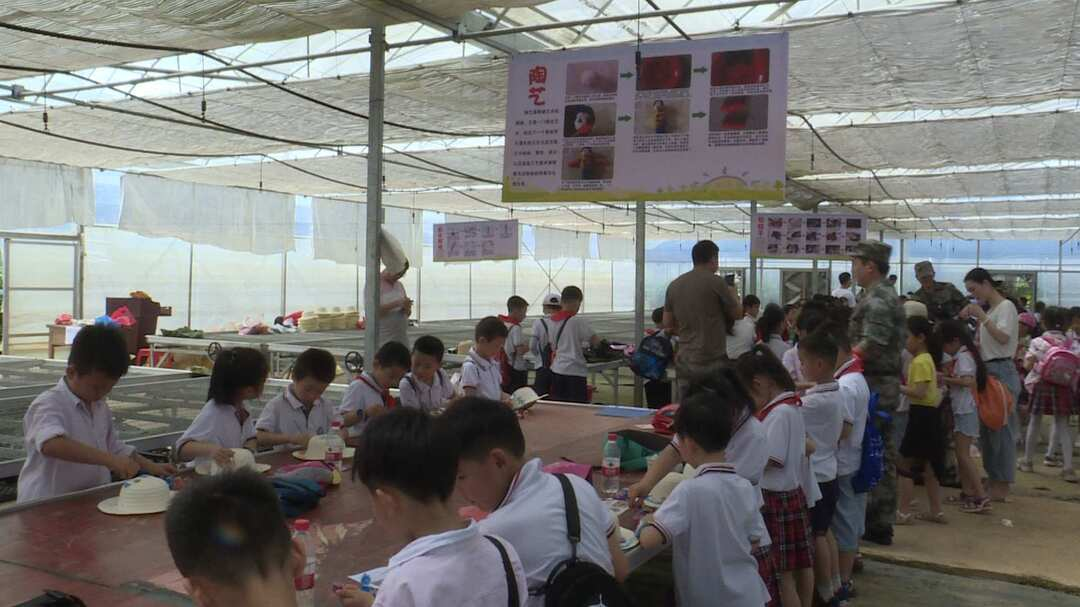 德辉农业：农耕文化受学生青睐