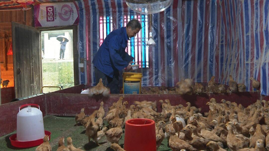 张建文：残疾人也能干出一片天