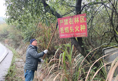旅发进行时｜临武县东山国有林场开展林区环境集中整治