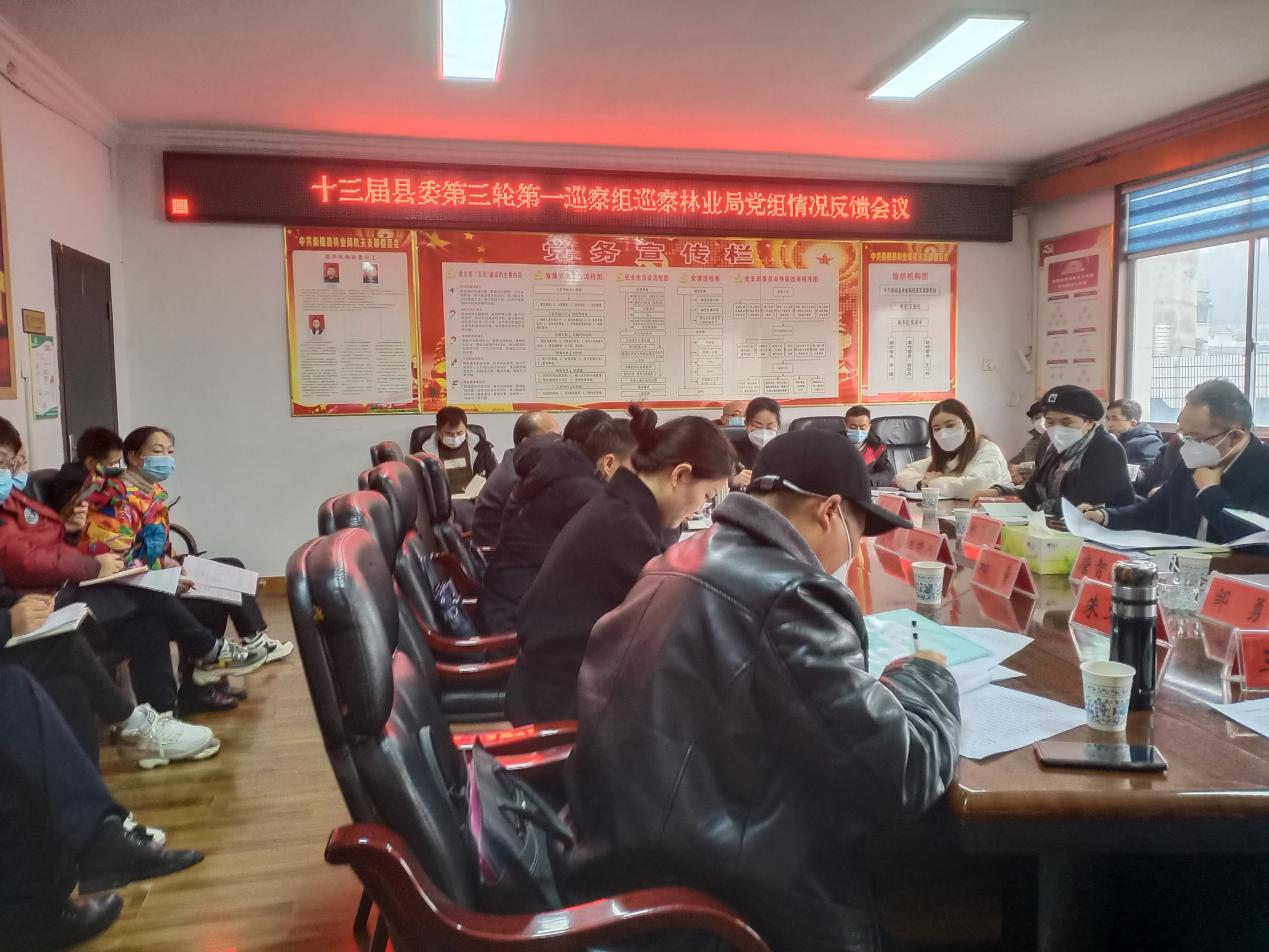 县委第一巡察组巡察县林业局党组意见反馈会召开