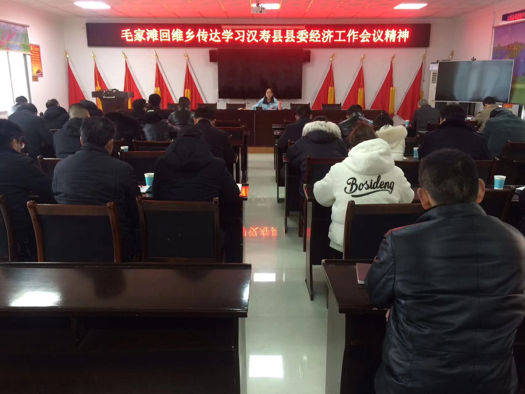 毛家滩回维乡传达学习县委经济工作会议精神