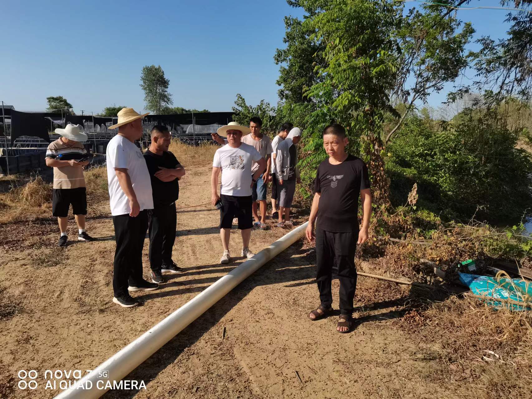 【抗旱保收】毛家滩回维乡：多措并举抗旱情   全力以赴保民生