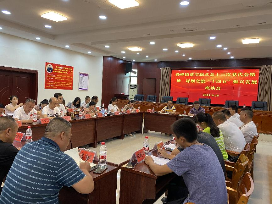 舜峰镇召开贯彻落实县第十三次党代会精神座谈会