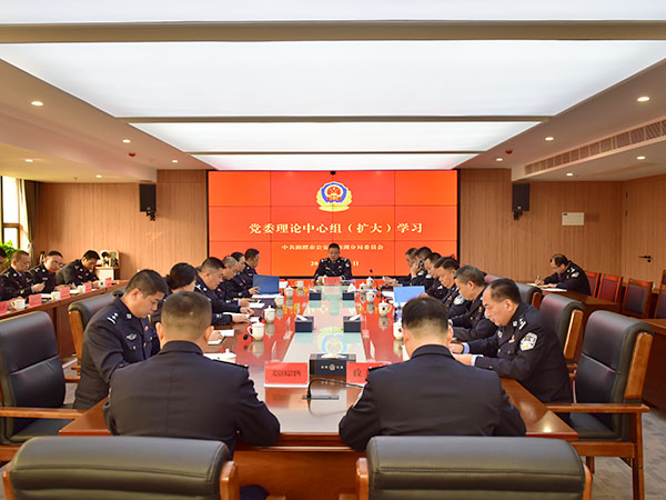 雨湖公安分局党委理论学习中心组专题学习党的十九届六中全会精神