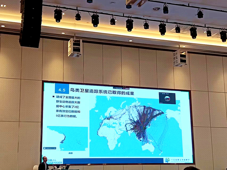 湿地监测精英精进技能，共护越冬水鸟生态防线