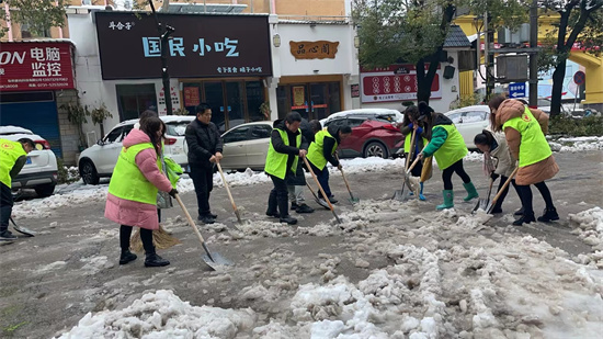 区文旅广体局、区文联积极应对低温雨雪冰冻天气