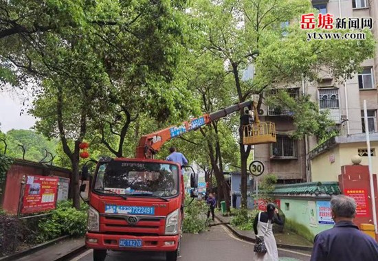 我為群眾辦實(shí)事 岳塘區(qū)城管執(zhí)法局修剪擾民樹枝