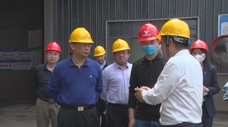 潘碧灵到永兴县调研危险废物处置及稀贵金属产业工作