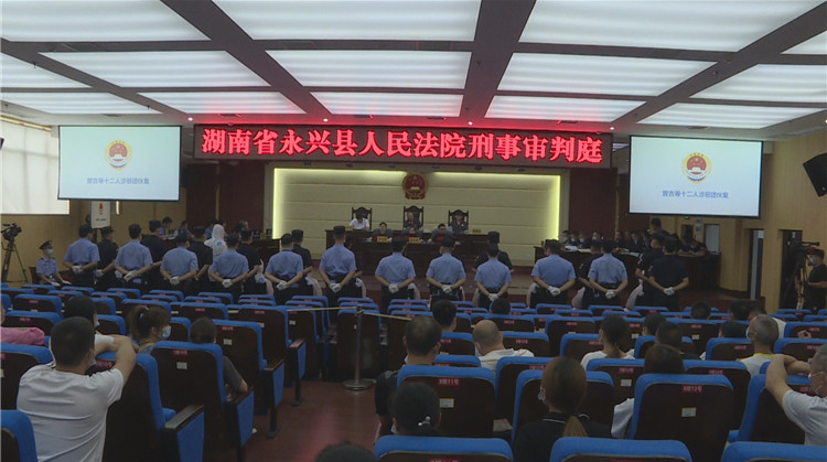 永兴县人民法院公开审理曾某等12人涉恶犯罪案