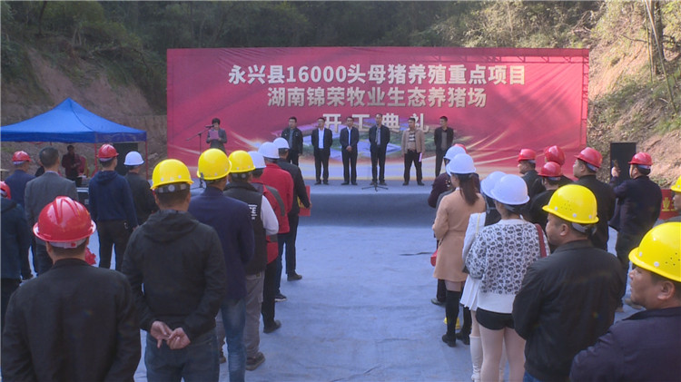 永兴县1.6万头母猪养殖重点项目开工
